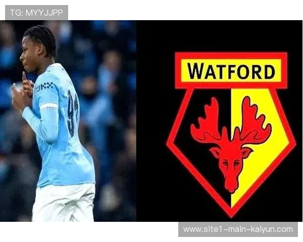 水晶宫近9000万欧锋线重组，拉尔森约翰逊能否填补埃泽空缺